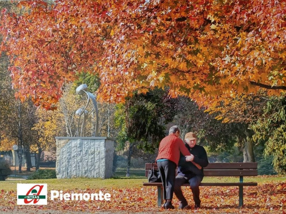 Anteas Piemonte, sette progetti per sette province