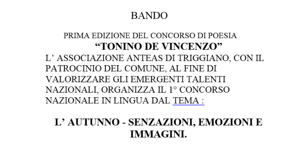 Prima edizione del concorso di poesia Tonino de Vincenzo